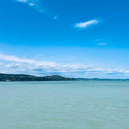 Unit_type_semidetached_house 55082 *